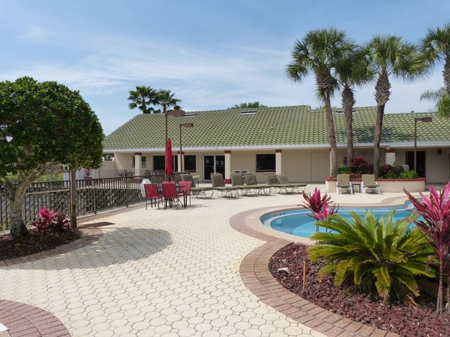 Building, Yard, Pool, Water, Palm Tree