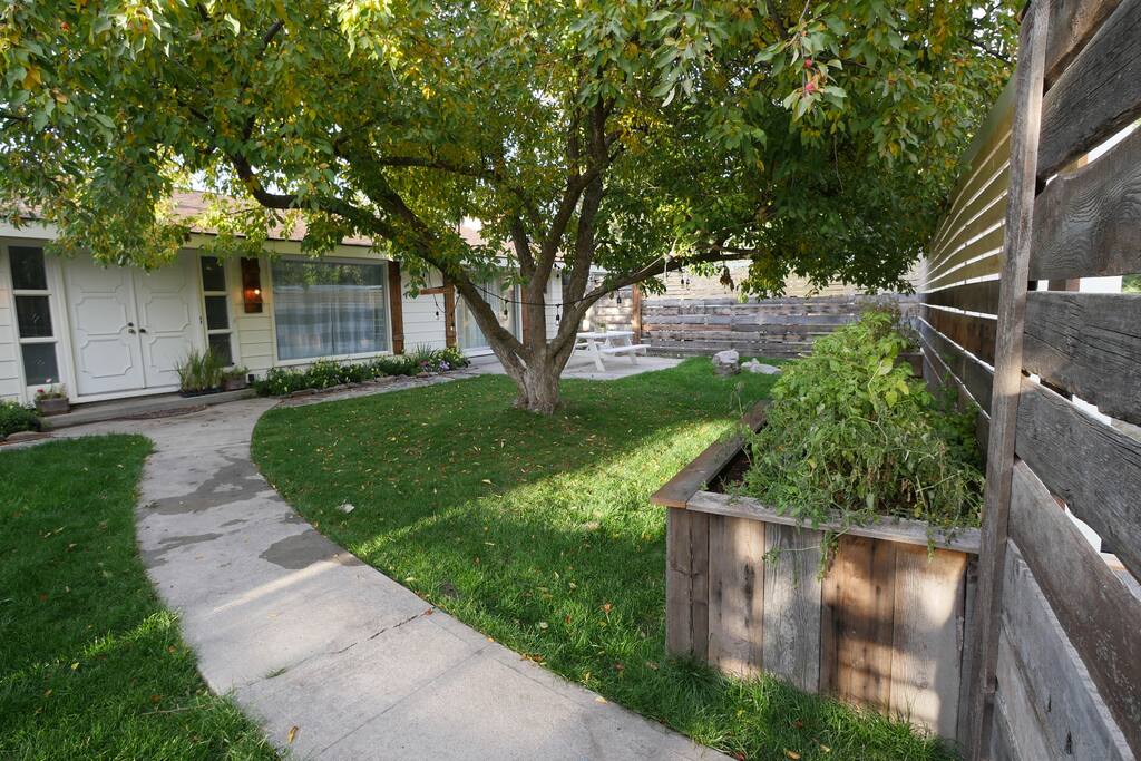 Custom courtyard great for kids and entertaining guests