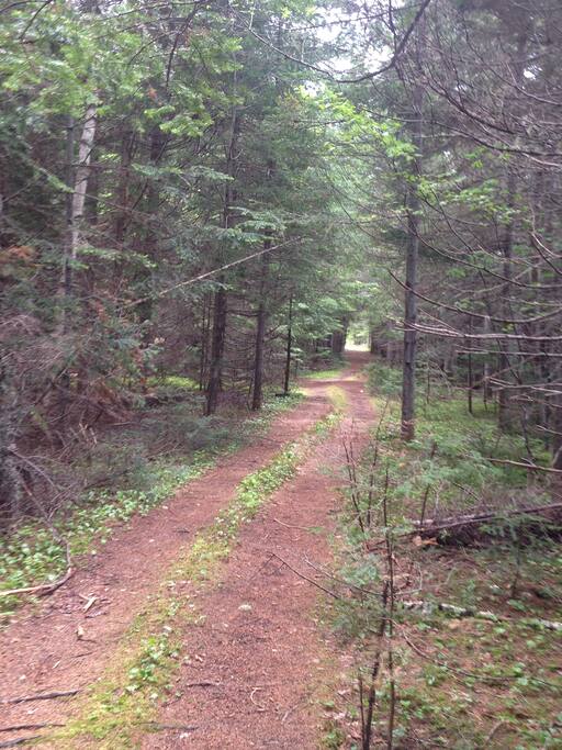 Trail derrière la maison