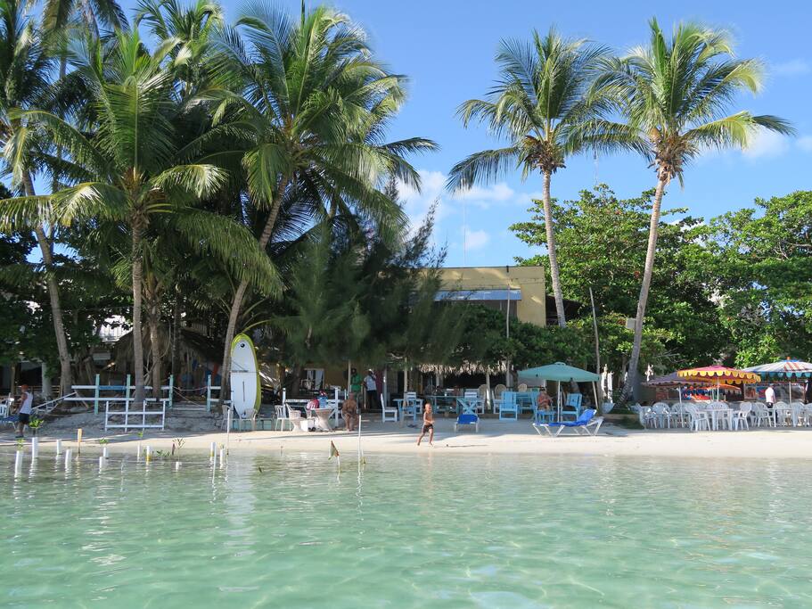 Our property right on the beach.