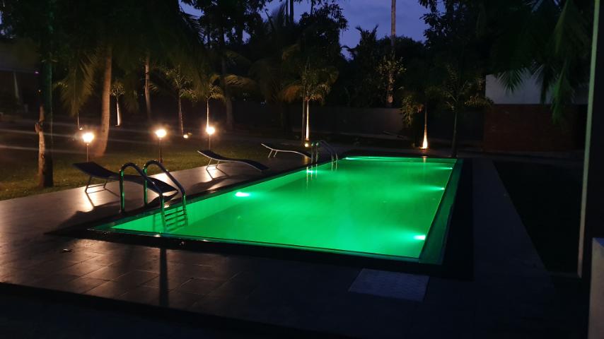 The swimming pool is elegantly illuminated in green hues, surrounded by well-maintained landscaping. Lounge chairs are positioned nearby, complemented by soft lighting that highlights the palm trees and enhances the serene evening ambiance.