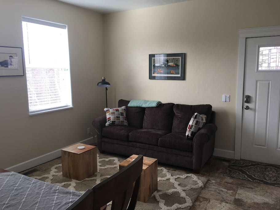 Living Room/Pull Out Couch