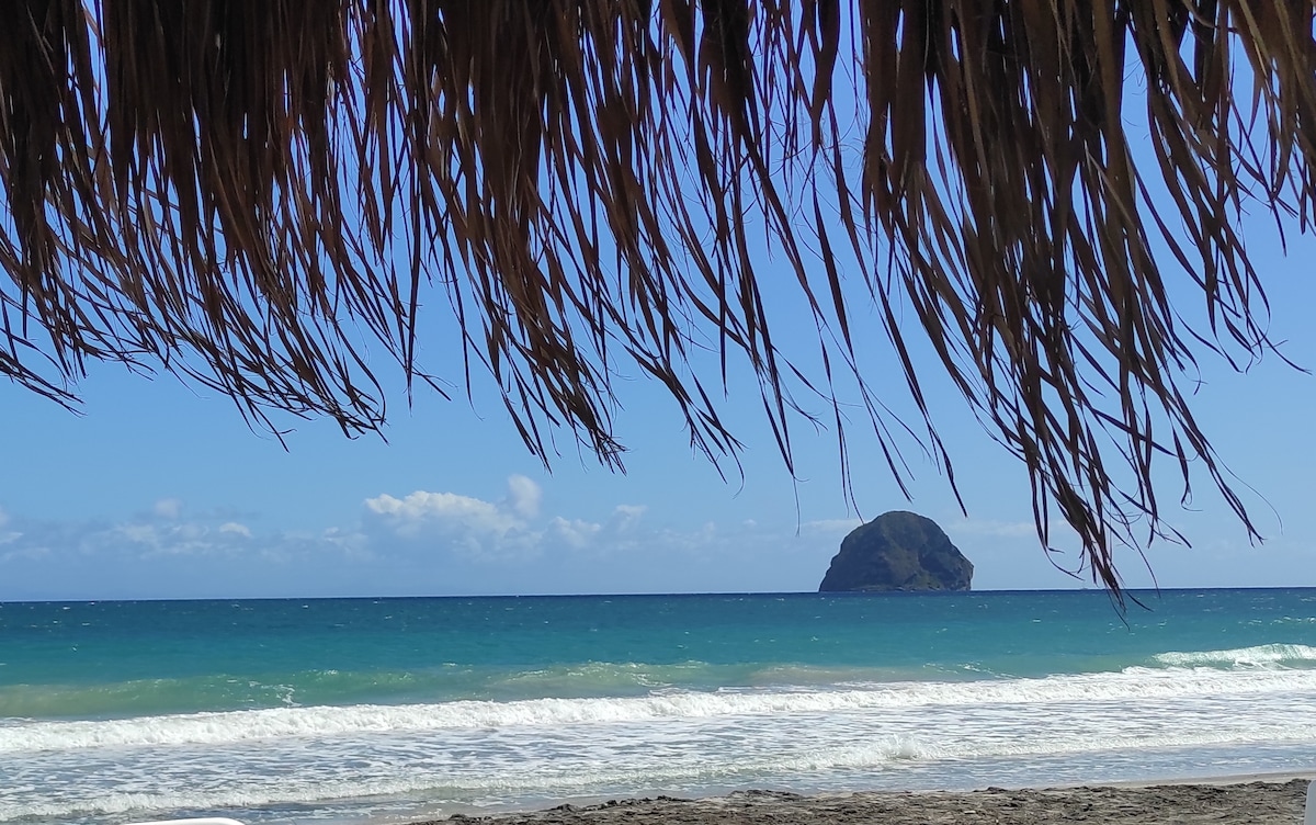 A view of the ocean is framed by palm fronds, with gentle waves lapping at the sandy shore. A distant rock formation rises from the water, under a clear blue sky peppered with occasional clouds.