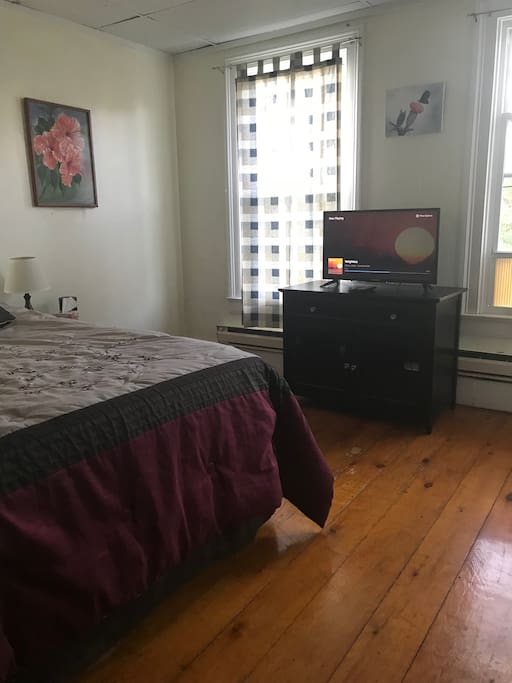 TV with Firestick (Netflix, Prime video, music, etc)