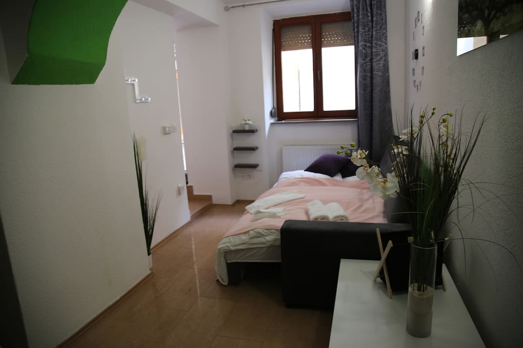 Living room with sofa bed