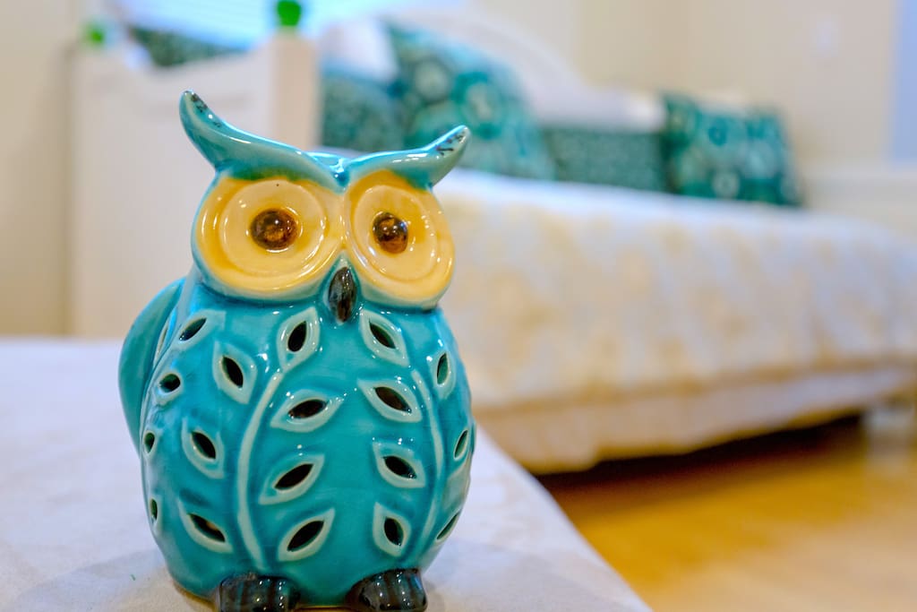 This owl is the smartest on earth. That's why it picked a place that's perfect for both Harvard and MIT as well as Kendall Square high tech and biotech companies!