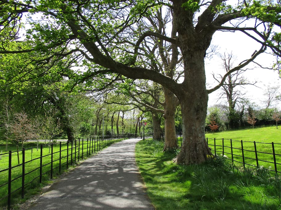 Enjoy a leafy walk in the Phoenix Park.