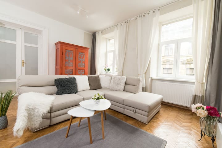 Spacious artistic flat in the heart of Timisoara