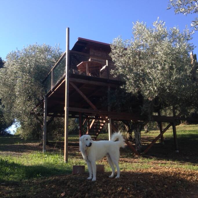 Vista dal basso