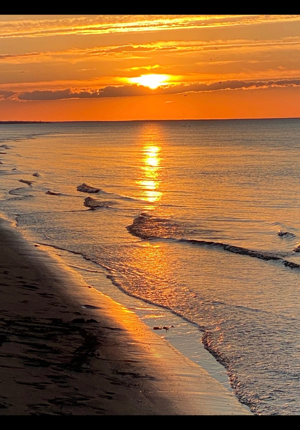 A serene beachfront scene is highlighted by the golden hues of a sunset reflecting off gentle waves. The shoreline curves softly, with sandy edges visible as the water meets land. The atmosphere conveys a sense of tranquility, enhanced by a clear horizon.