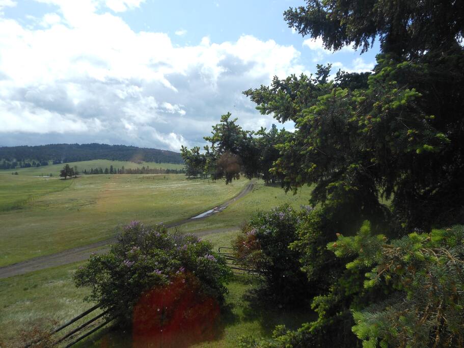 Spring is in the air....from the Lodge window.