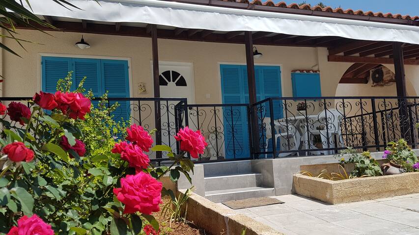 Bungalow One Pools 1km Mall 2 Bedrooms 2 Bathrooms House In Pafos Cyprus