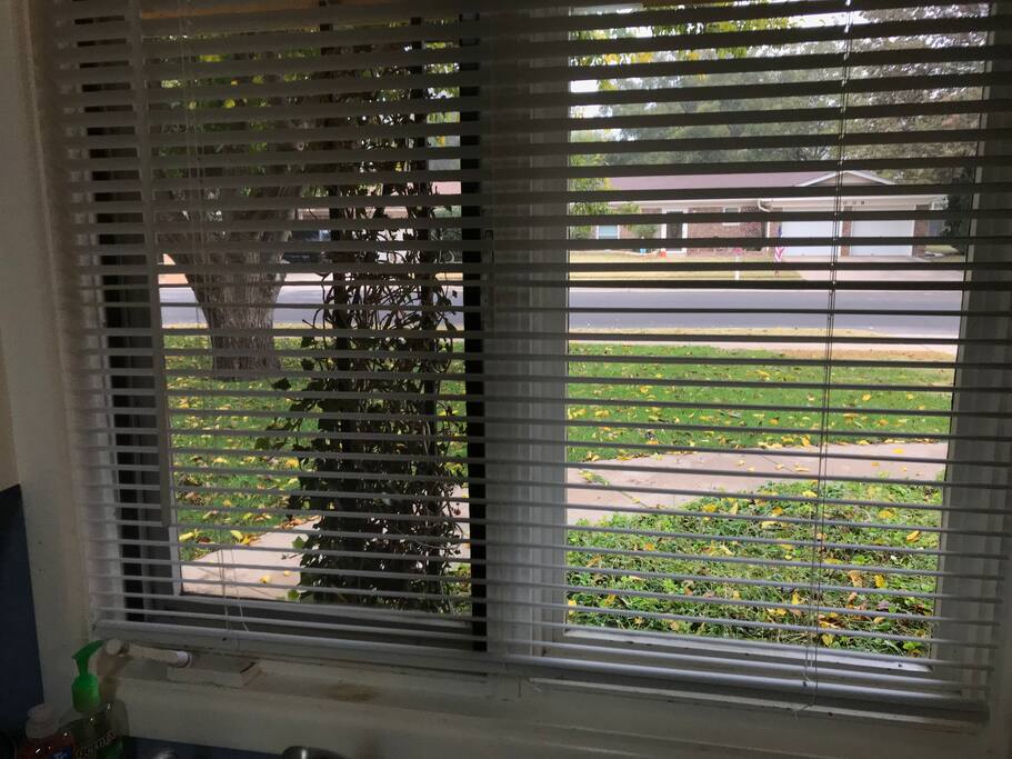 Kitchen sink window view of quiet culdesac .