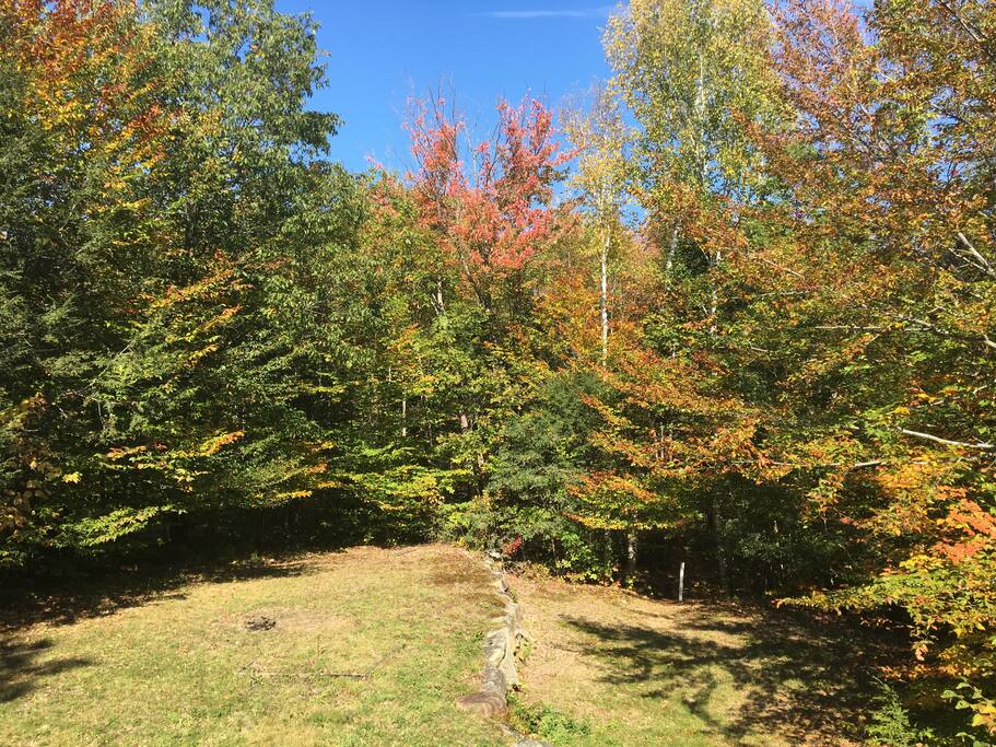 Front Yard - From the Porch