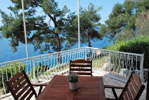 Successful Airbnb property: Beautiful House by the Sea - "Roza" in Općina Primošten