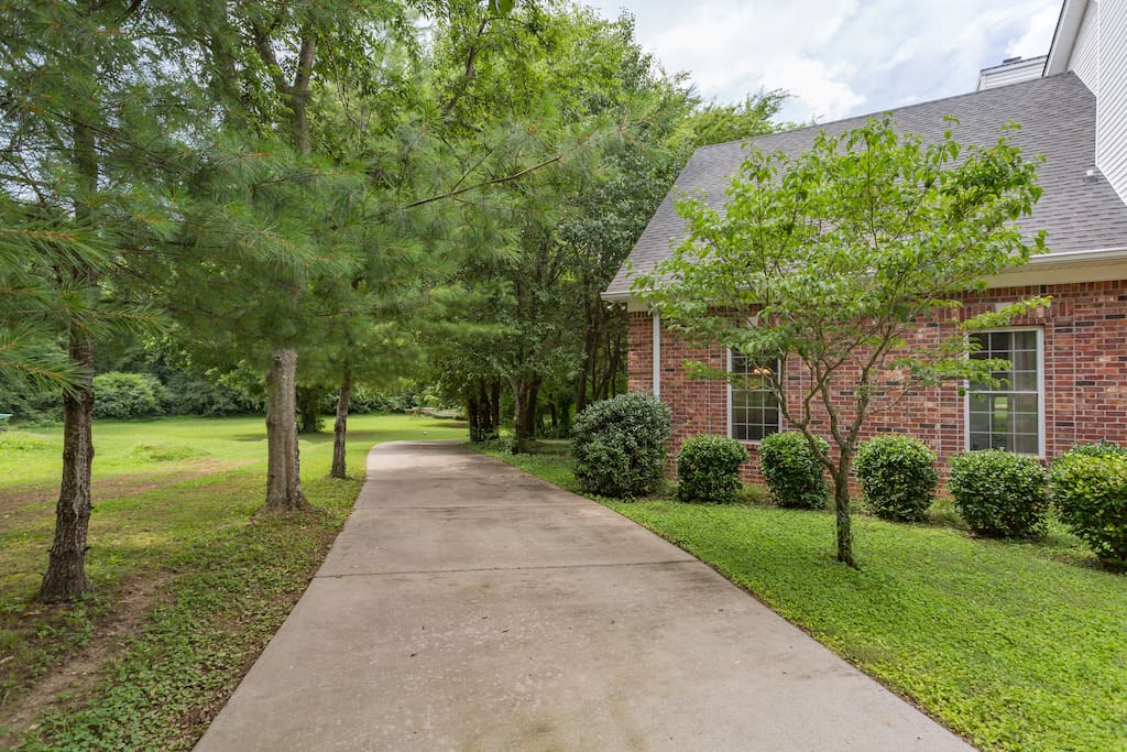 Driveway to studio space