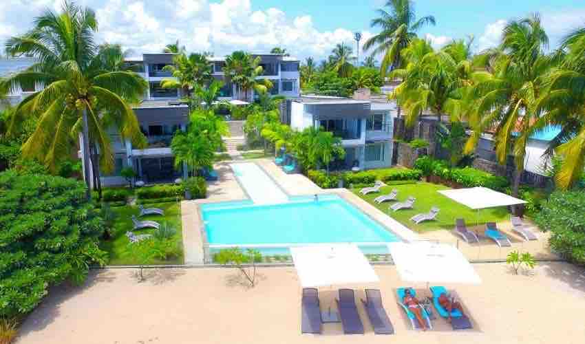 An outdoor space showcases a large swimming pool surrounded by palm trees and lounge chairs. Umbrellas provide shade for relaxation. Lush greenery frames the area, and the buildings reflect a modern architectural style. The scene conveys a serene atmosphere, perfect for leisurely enjoyment.