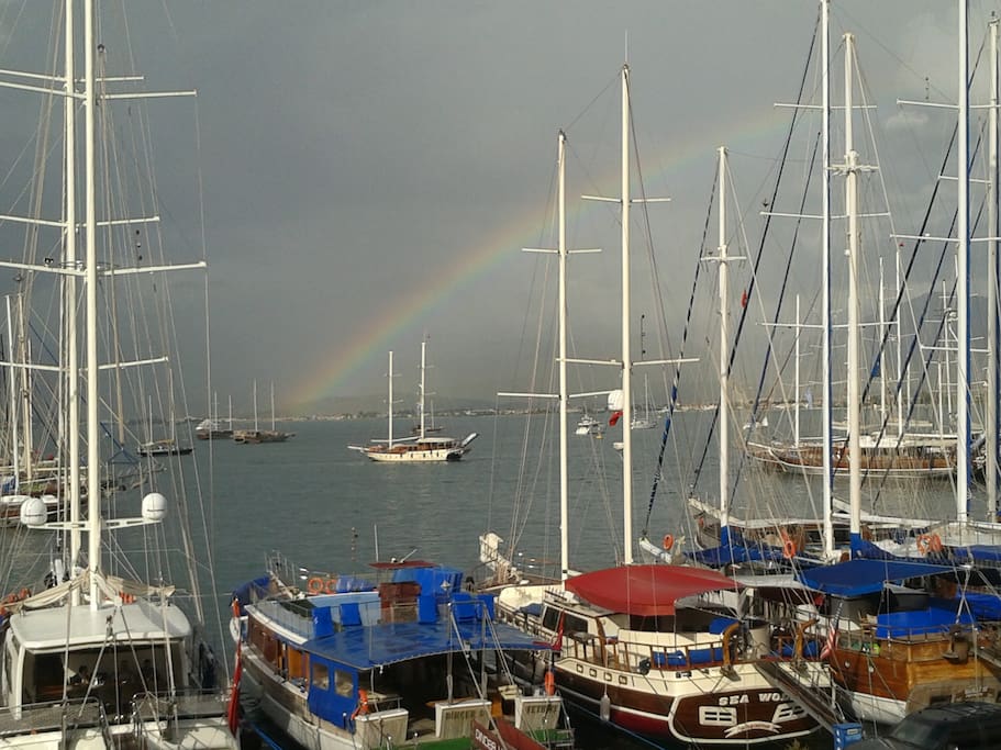 After a short summer rain...