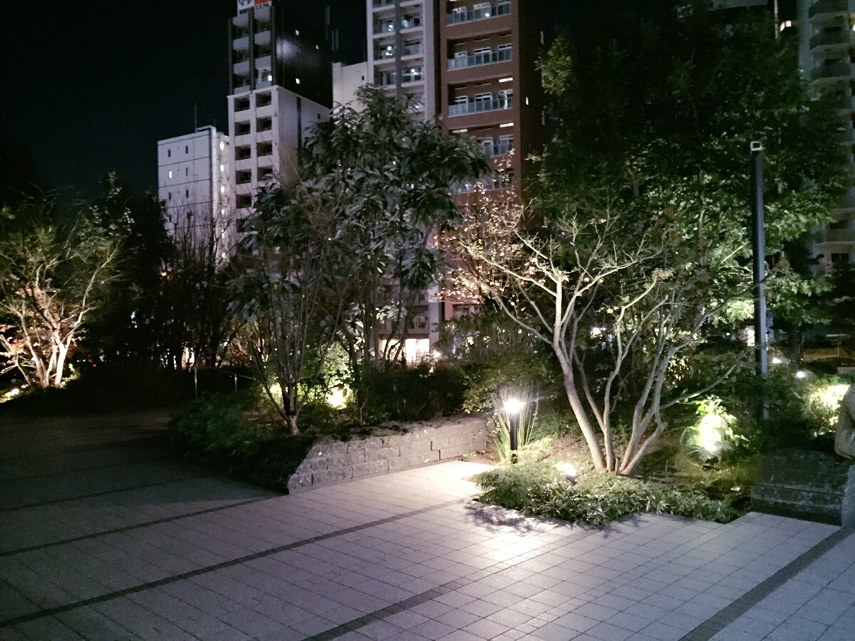 A landscaped garden area is illuminated at night, featuring a variety of trees and plants. Soft lighting highlights the walking paths and greenery, creating a serene environment. Nearby buildings are visible, contributing to an urban yet tranquil atmosphere.