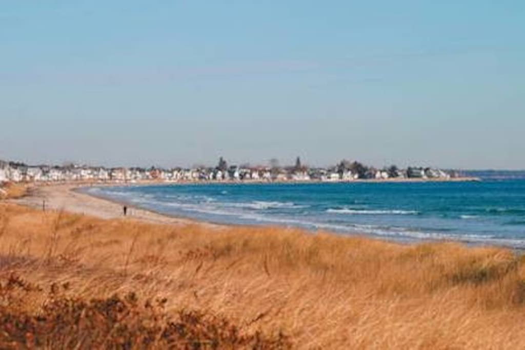 Local beach