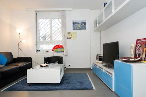 Furnished renovated apartment in Zurich City