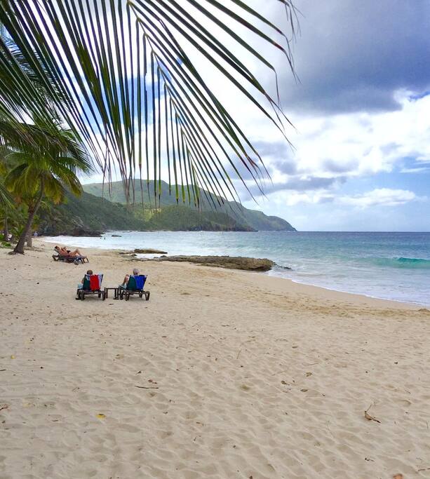 Sandy Beaches