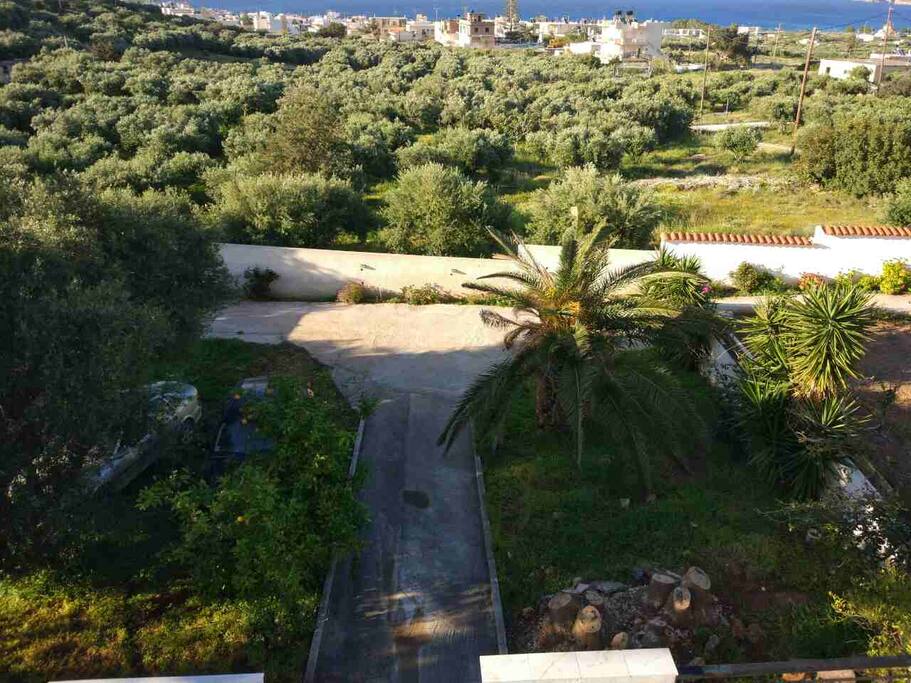 Garden - Parking
