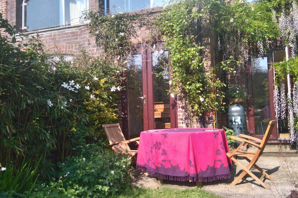 Rear view of house and garden