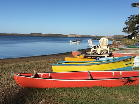 Dog friendly allergen-free, walk to bay eateries