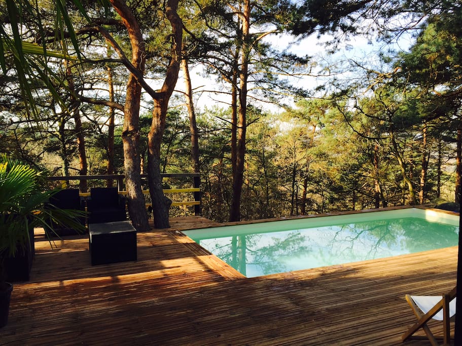Terrasse et piscine en pleine forêt