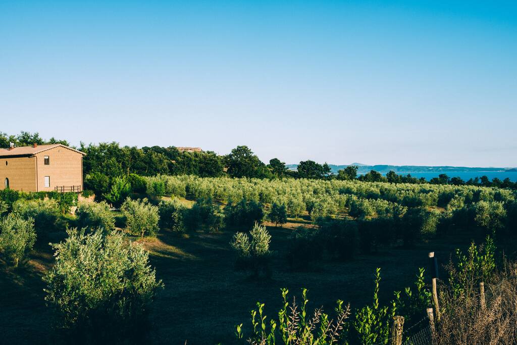panorama podere