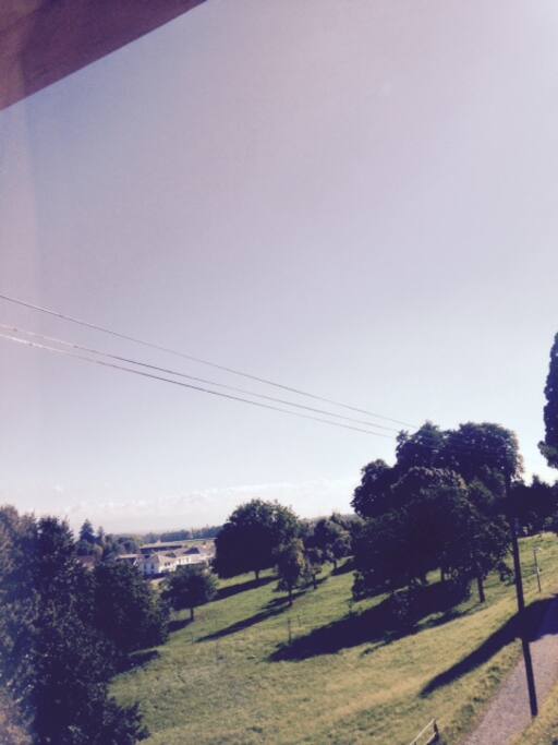 blick aus dem fenster