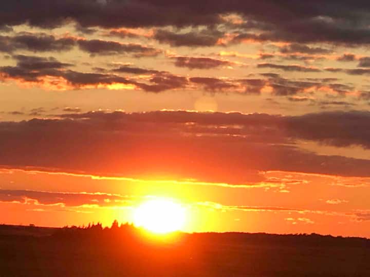 Heaven on Earth Houses for Rent in Little Egg Harbor Township, New Jersey, United States Airbnb