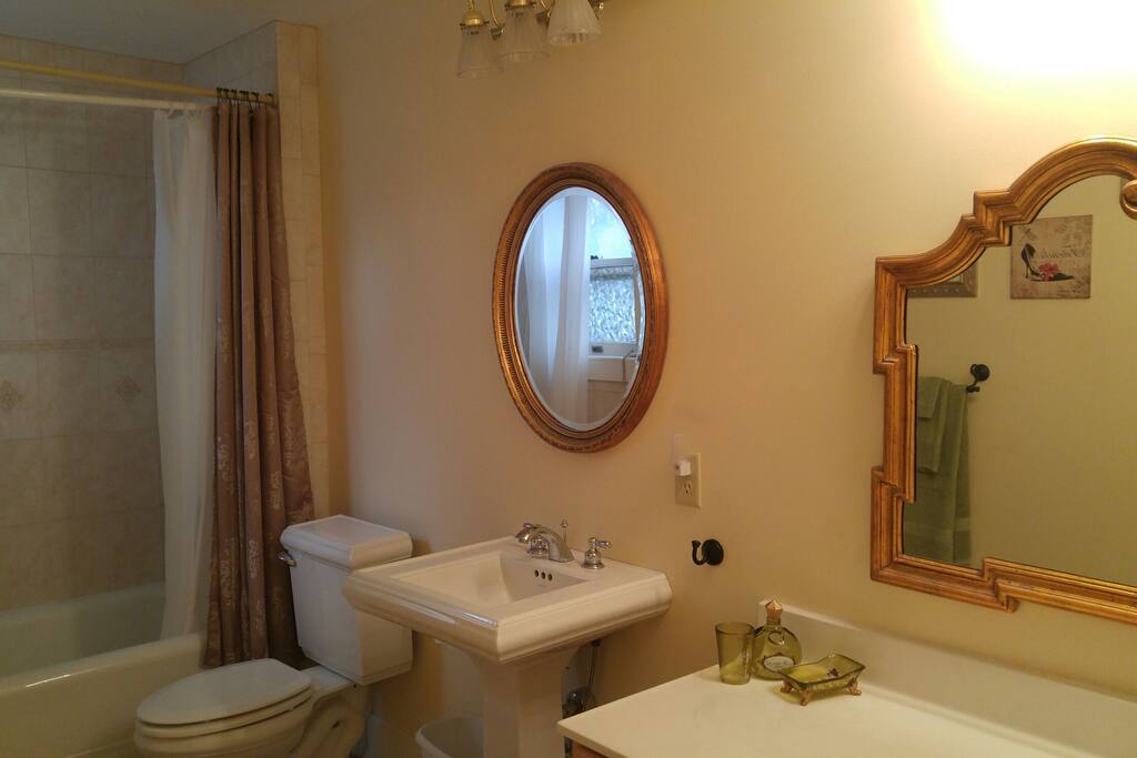 Large on suite bath with separate vanity.