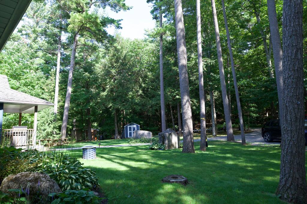 Front yard