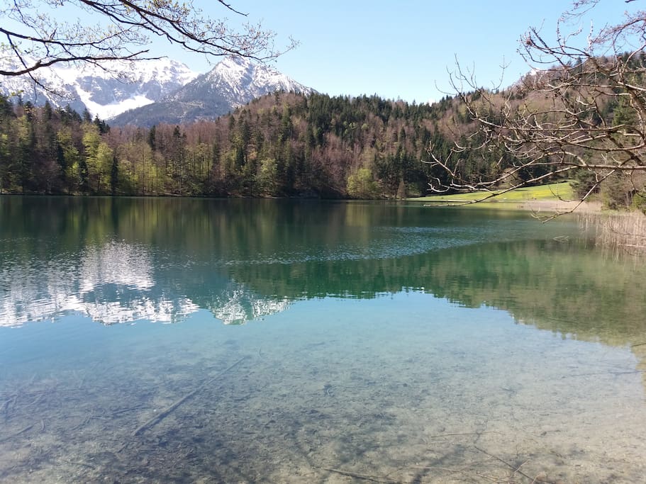Alatsee - Nur 6 km entfernt