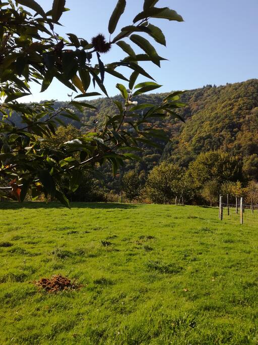 Vous apprécierez le calme et la verdure