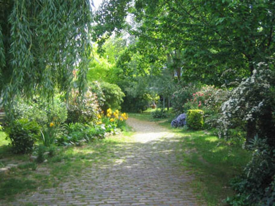 allée centrale du jardin collectif