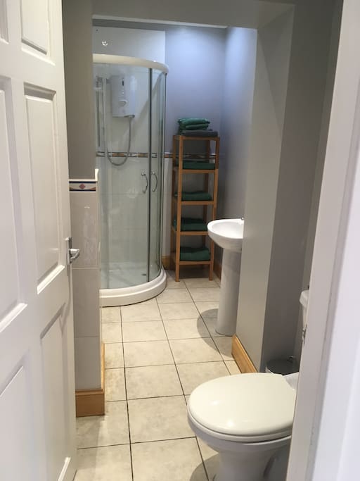 shower room with toilet and shower