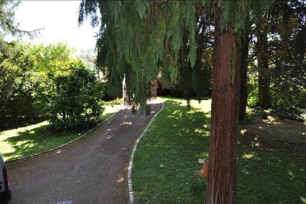 parc arboré