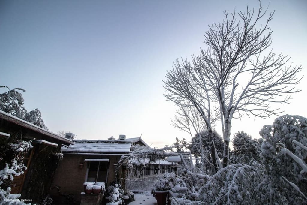 Snowfall, February 2018