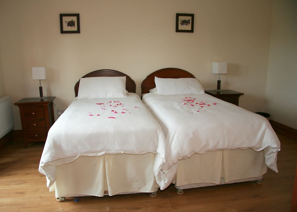 Downstairs twin room