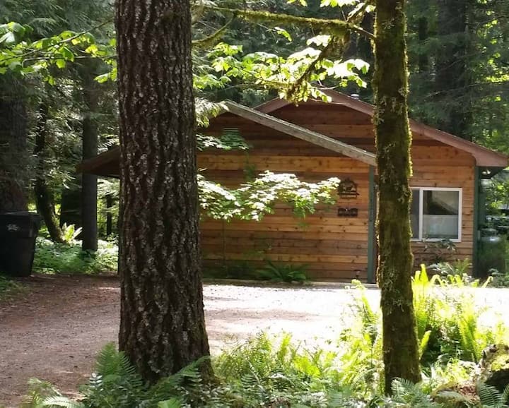 Mount Rainier Vacation Rentals Cabins and More Airbnb