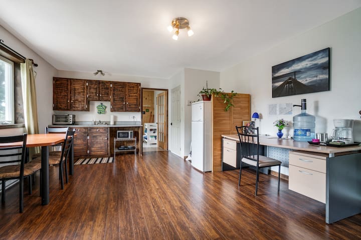 Large 3 1/2, open concept, close to everything