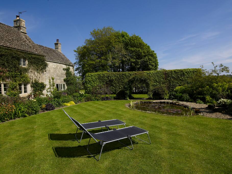 Relax on the lawn