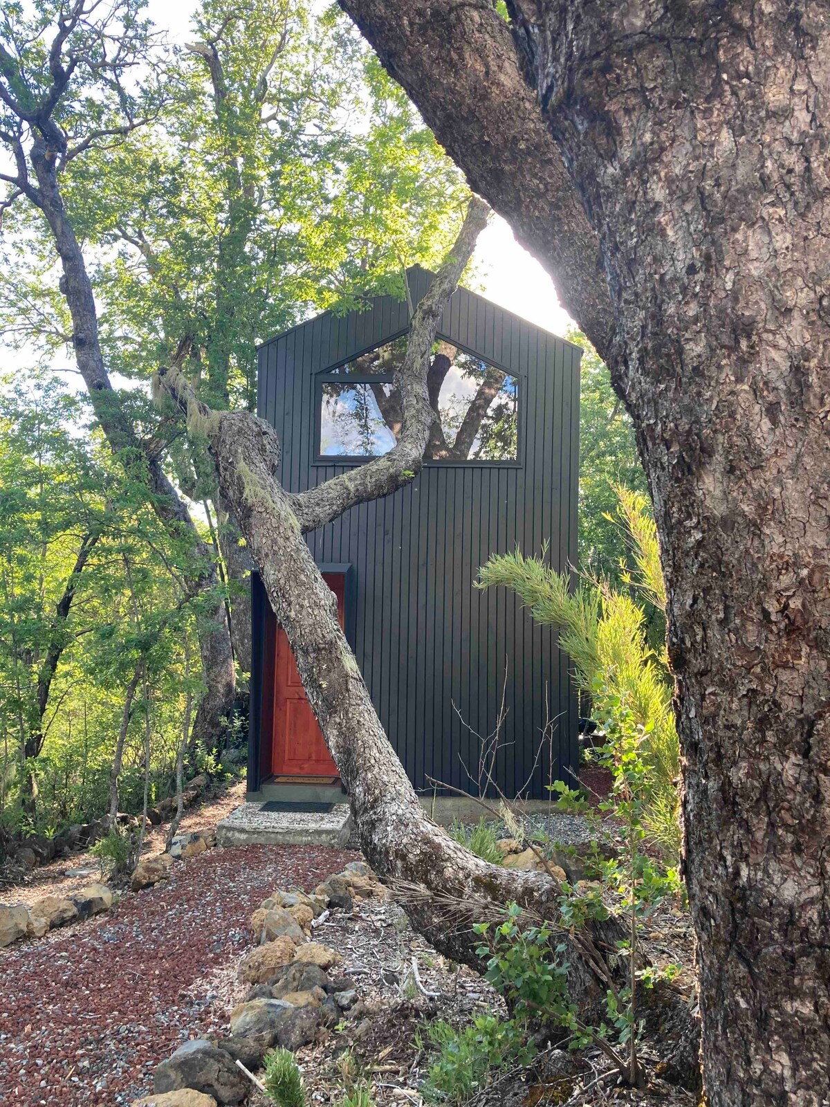 A modern cabin is nestled among native trees, featuring a dark exterior with a large window. A prominent tree branch extends towards the cabin, emphasizing the natural surroundings. Gravel pathway leads to the entrance, flanked by textured stone and greenery.