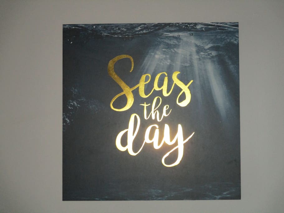 Seas The Day