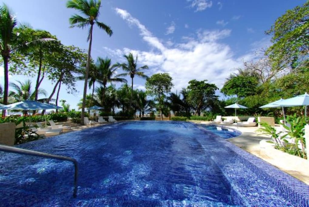 Adults pool