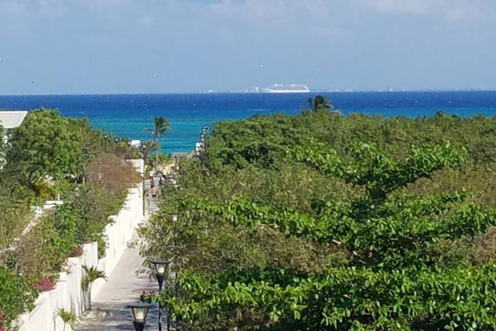 Roof top view to beach path entrance