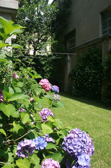 Giardino